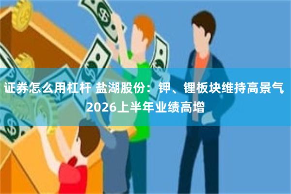 证券怎么用杠杆 盐湖股份:钾、锂板块维持高景气 2026上半年业绩高增