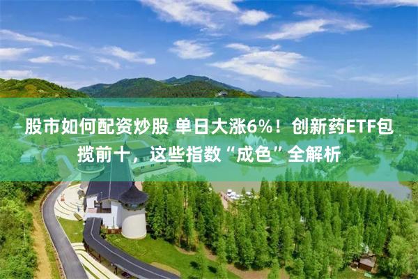 股市如何配资炒股 单日大涨6%！创新药ETF包揽前十，这些指数“成色”全解析