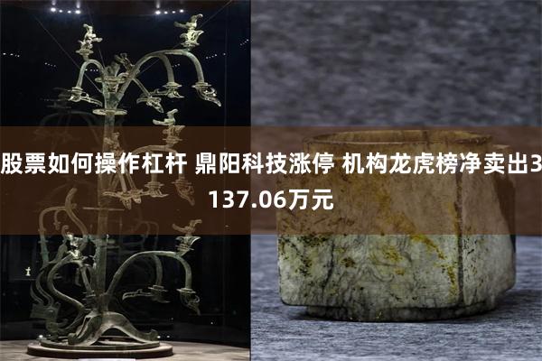 股票如何操作杠杆 鼎阳科技涨停 机构龙虎榜净卖出3137.06万元