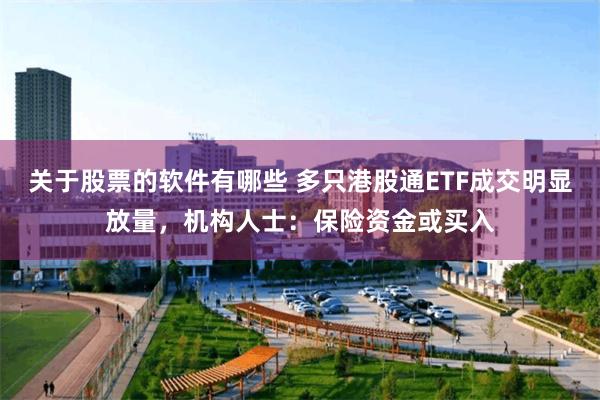 关于股票的软件有哪些 多只港股通ETF成交明显放量，机构人士：保险资金或买入