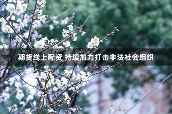 期货线上配资 持续加力打击非法社会组织