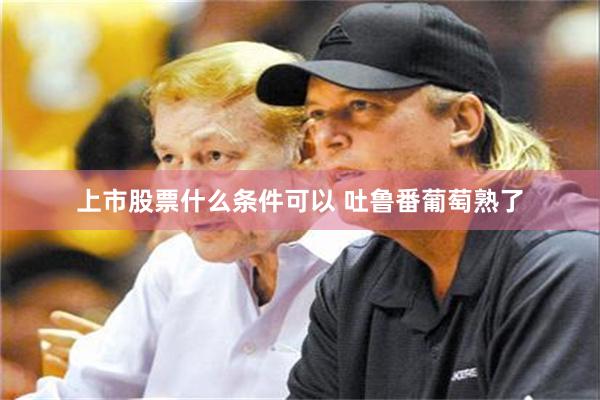 上市股票什么条件可以 吐鲁番葡萄熟了