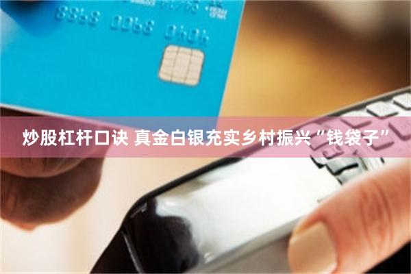 炒股杠杆口诀 真金白银充实乡村振兴“钱袋子”