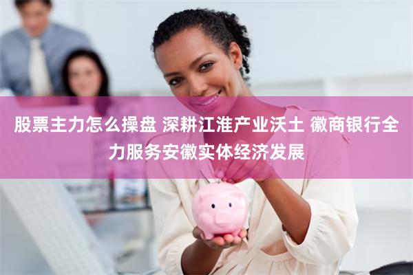 股票主力怎么操盘 深耕江淮产业沃土 徽商银行全力服务安徽实体经济发展