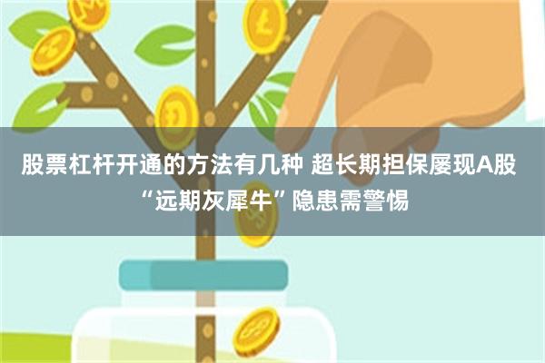 股票杠杆开通的方法有几种 超长期担保屡现A股 “远期灰犀牛”隐患需警惕