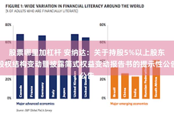 股票哪里加杠杆 安纳达:关于持股5%以上股东股权结构变动暨披露简式权益变动报告书的提示性公告
