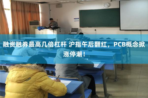 融资融券最高几倍杠杆 沪指午后翻红,PCB概念掀涨停潮!