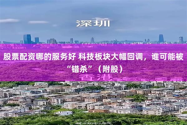 股票配资哪的服务好 科技板块大幅回调，谁可能被“错杀”（附股）