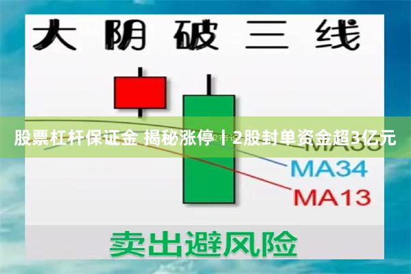 股票杠杆保证金 揭秘涨停丨2股封单资金超3亿元