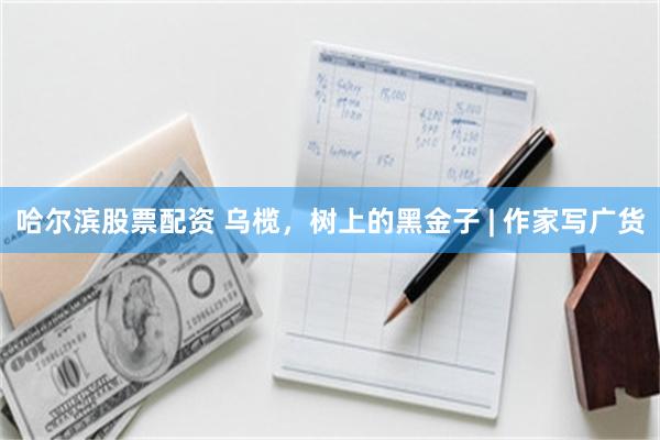 哈尔滨股票配资 乌榄,树上的黑金子 | 作家写广货