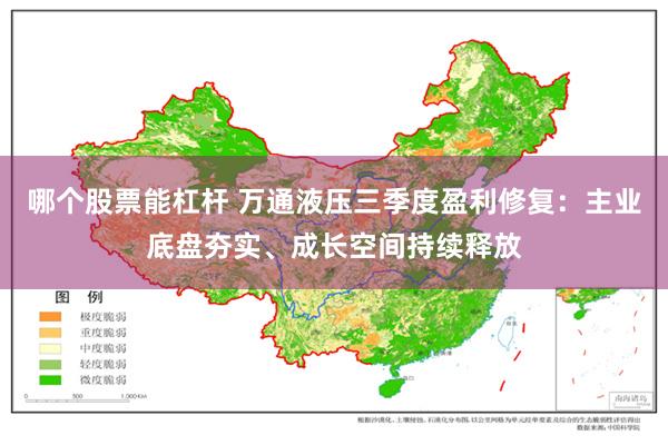 哪个股票能杠杆 万通液压三季度盈利修复：主业底盘夯实、成长空间持续释放